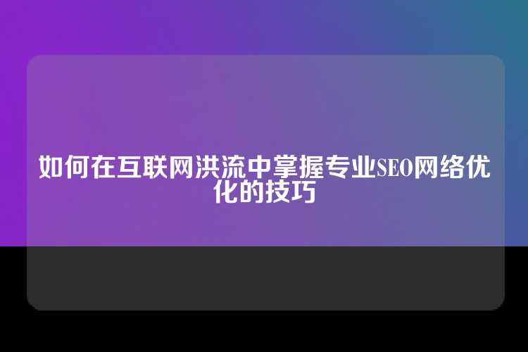 如何在互联网洪流中掌握专业SEO网络优化的技巧