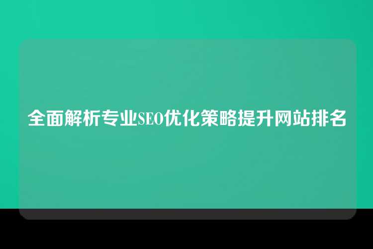 全面解析专业SEO优化策略提升网站排名