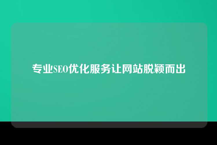 专业SEO优化服务让网站脱颖而出
