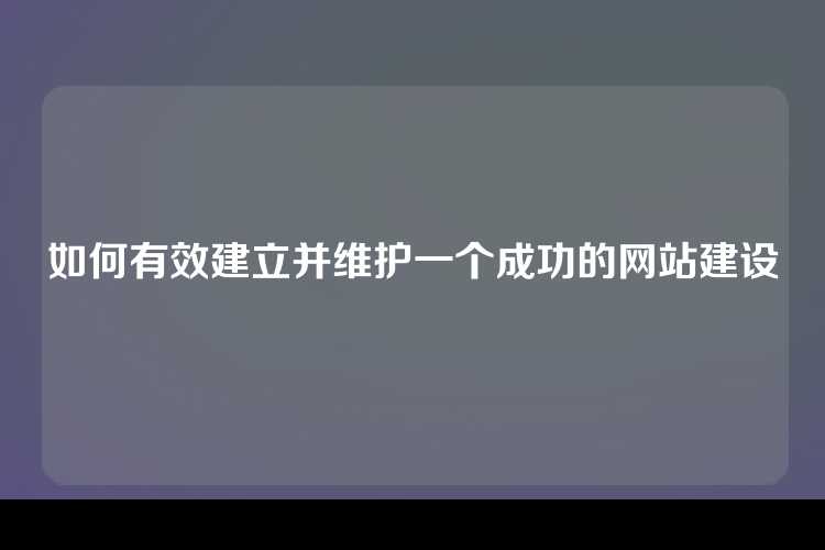 如何有效建立并维护一个成功的网站建设