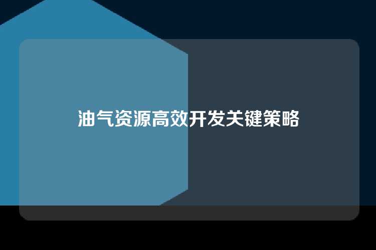 油气资源高效开发关键策略