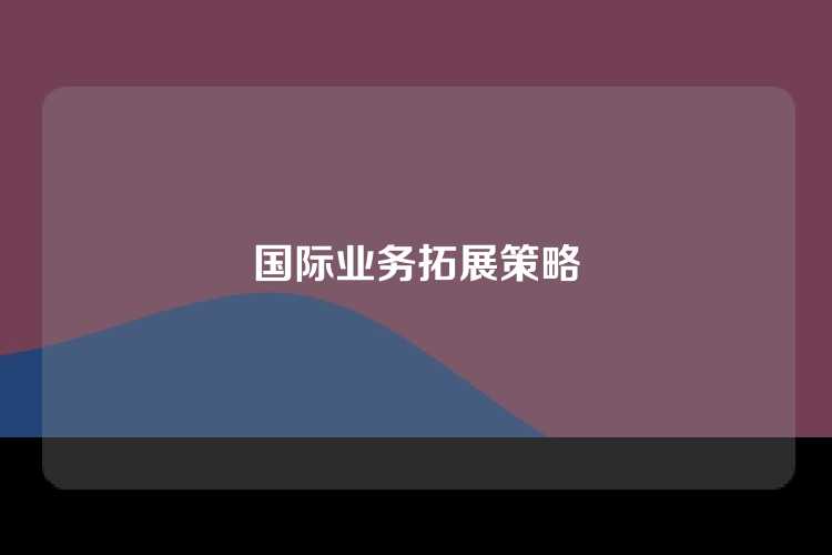 国际业务拓展策略