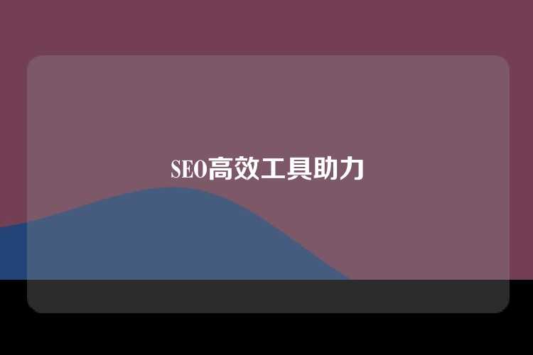 SEO高效工具助力