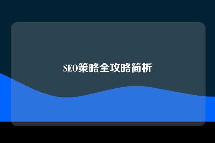 SEO策略全攻略简析