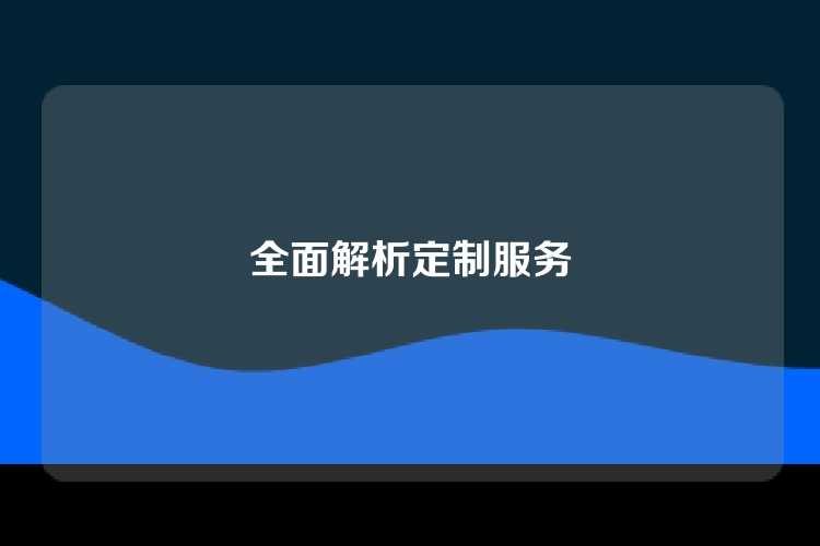 全面解析定制服务