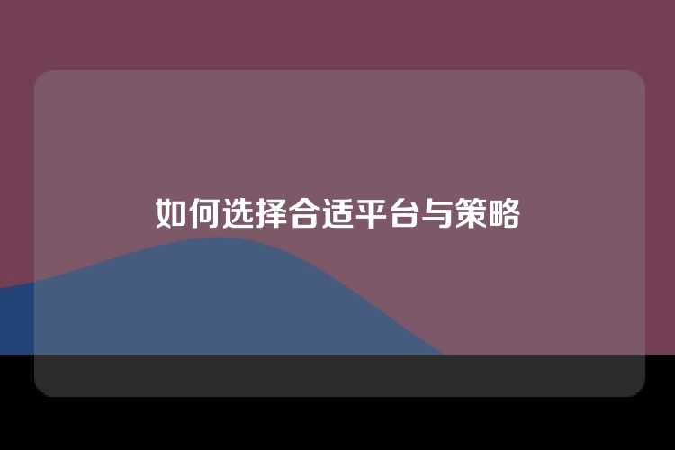 如何选择合适平台与策略
