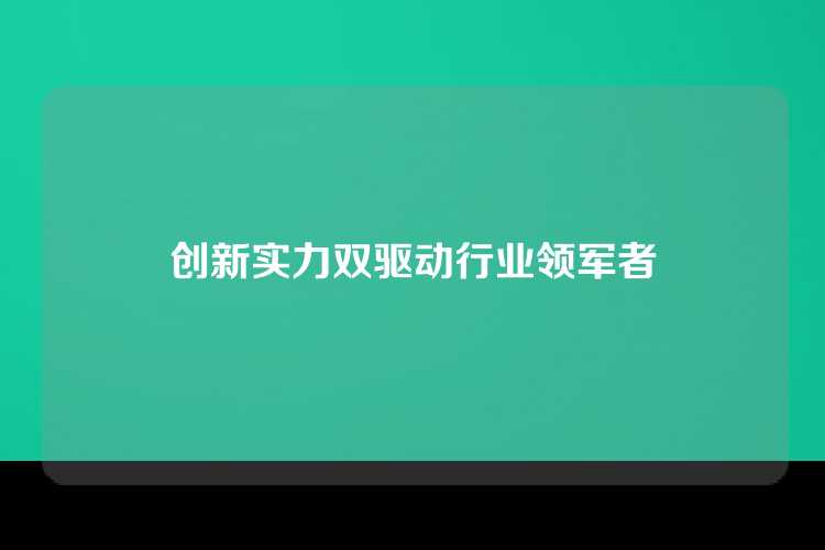 创新实力双驱动行业领军者