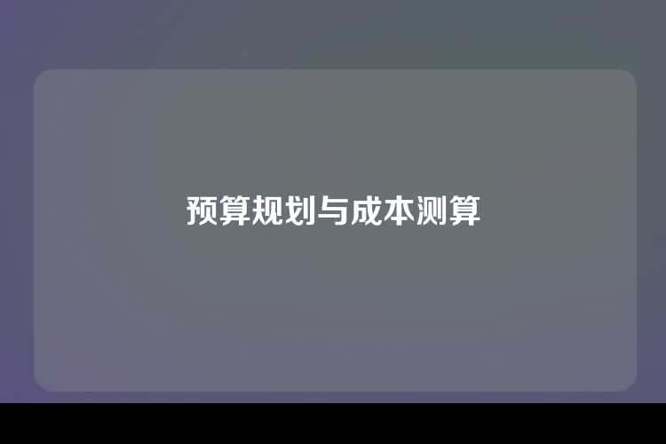 预算规划与成本测算