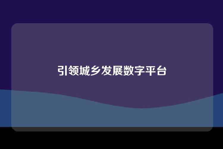 引领城乡发展数字平台