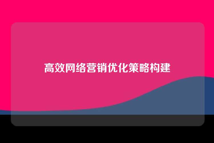 高效网络营销优化策略构建