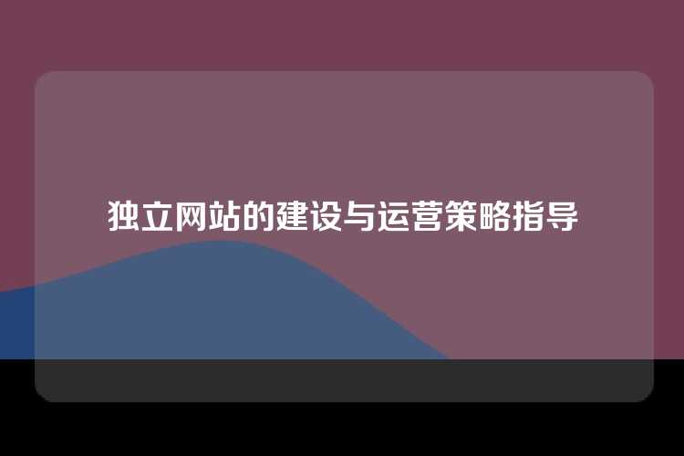 独立网站的建设与运营策略指导