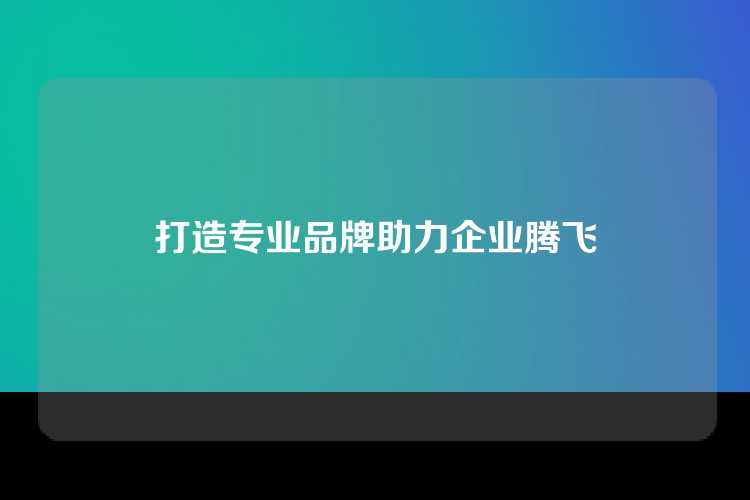 打造专业品牌助力企业腾飞