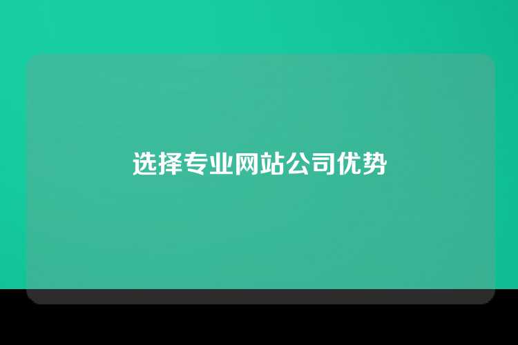 选择专业网站公司优势