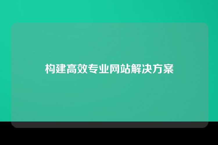 构建高效专业网站解决方案