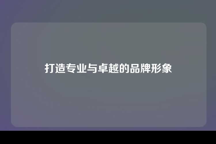 打造专业与卓越的品牌形象