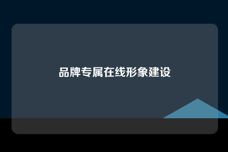 品牌专属在线形象建设
