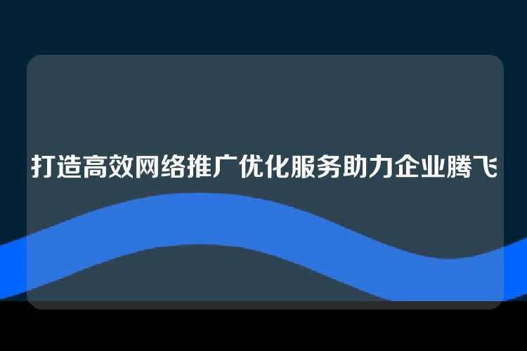 打造高效网络推广优化服务助力企业腾飞