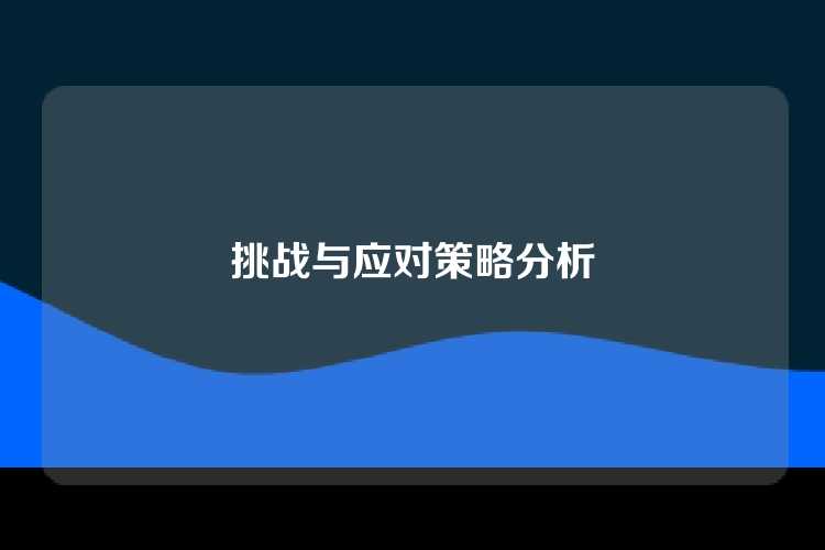 挑战与应对策略分析