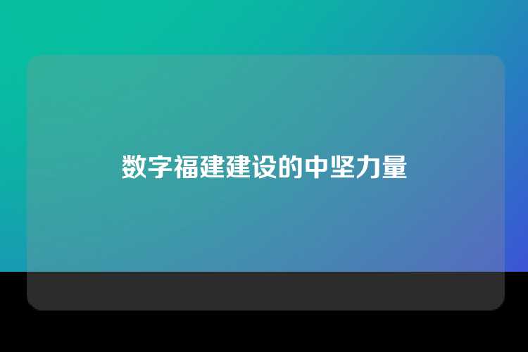 数字福建建设的中坚力量