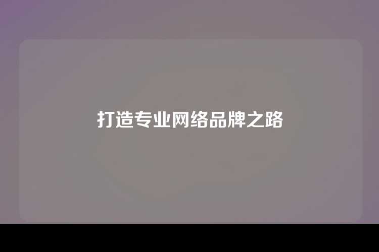 打造专业网络品牌之路