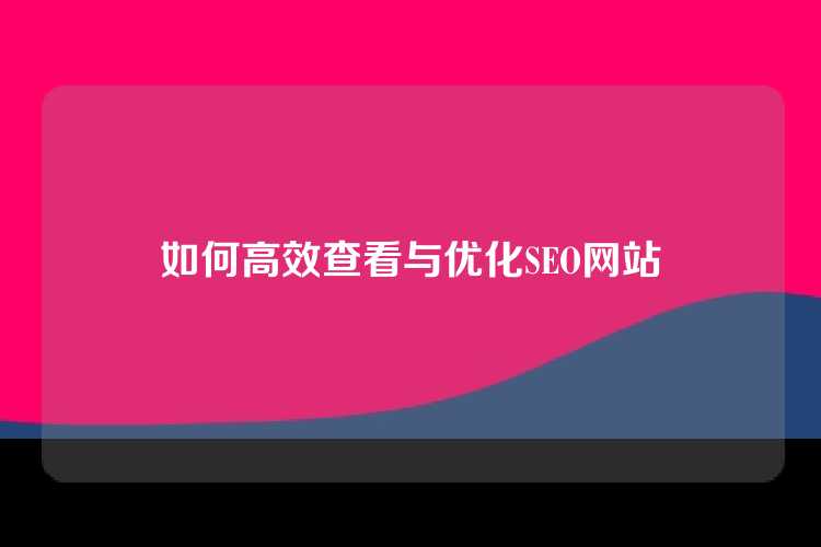 如何高效查看与优化SEO网站