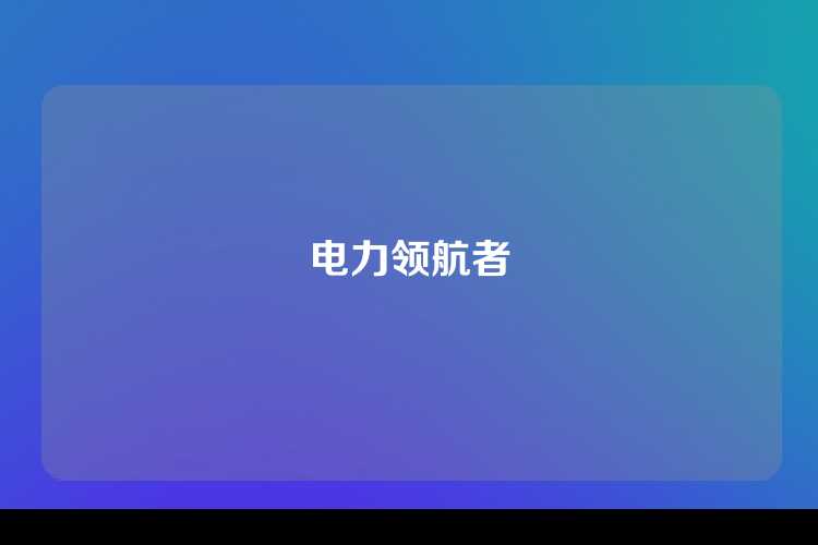 电力领航者