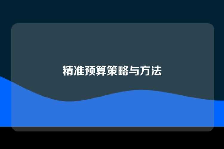 精准预算策略与方法
