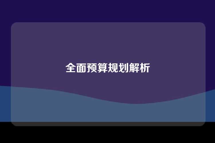全面预算规划解析