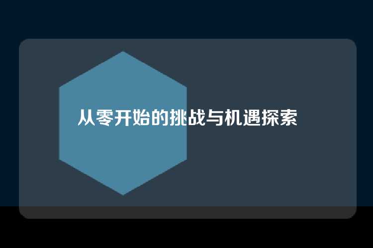 从零开始的挑战与机遇探索