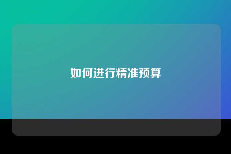 如何进行精准预算