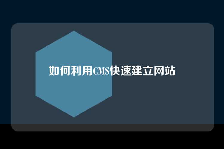 如何利用CMS快速建立网站