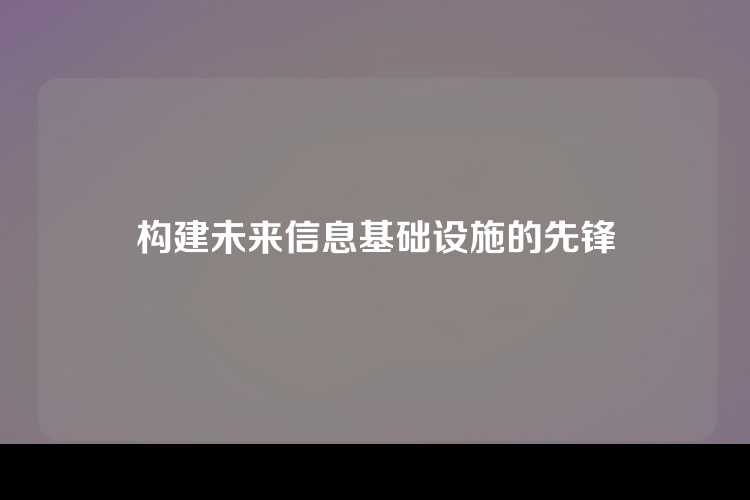构建未来信息基础设施的先锋