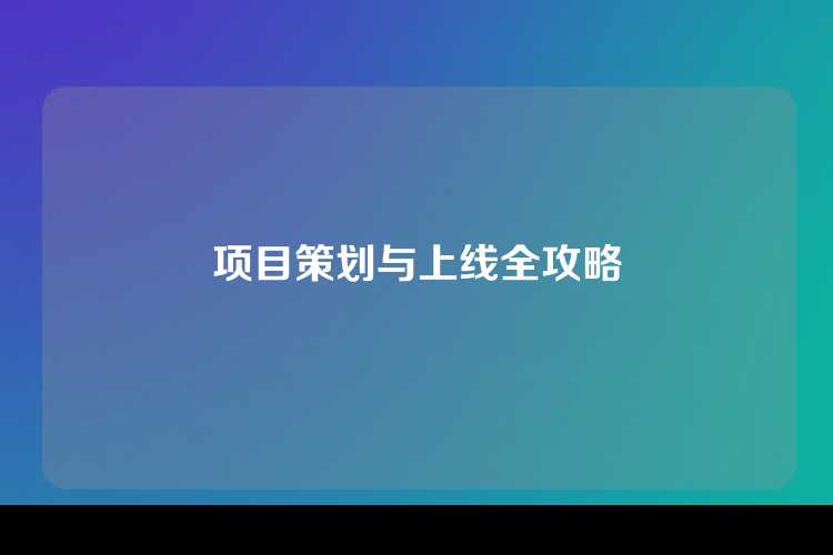 项目策划与上线全攻略