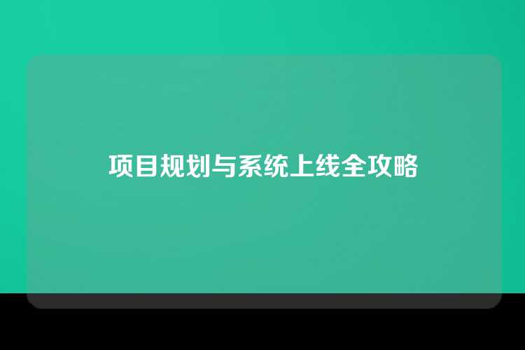 项目规划与系统上线全攻略