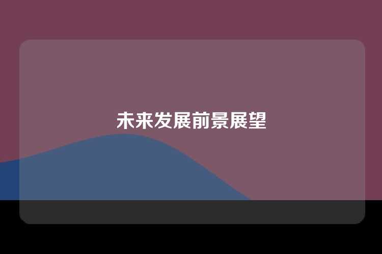 未来发展前景展望
