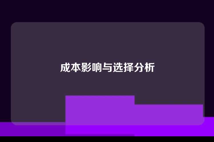 成本影响与选择分析