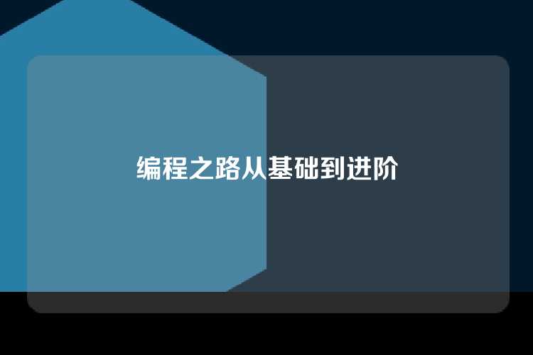 编程之路从基础到进阶