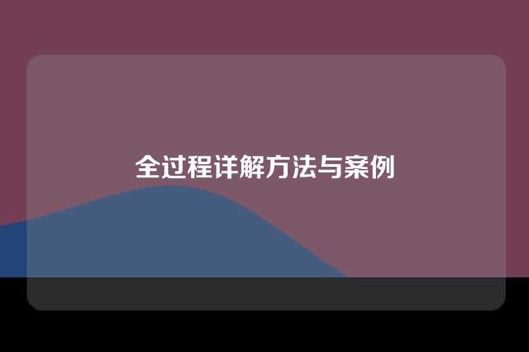 全过程详解方法与案例