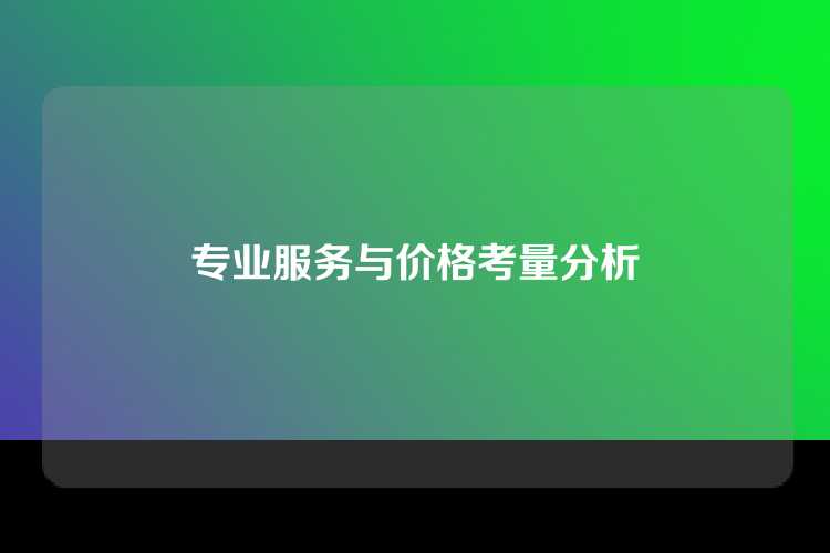 专业服务与价格考量分析