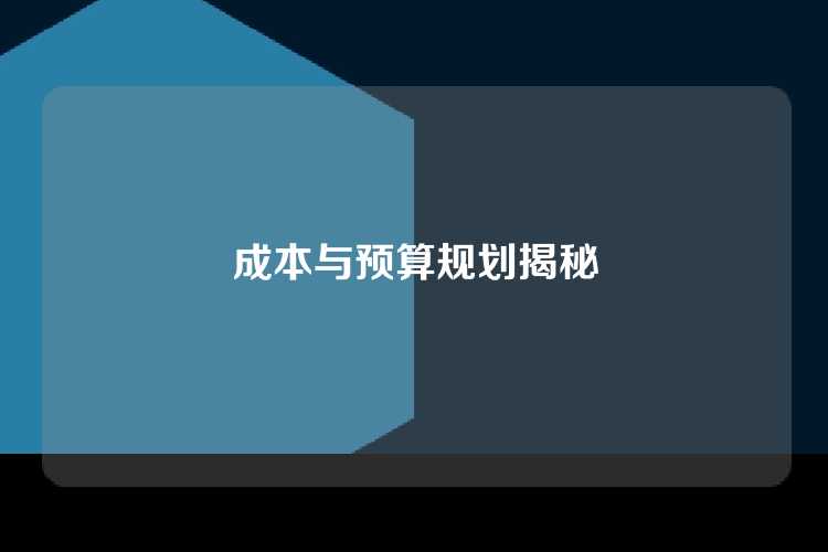 成本与预算规划揭秘