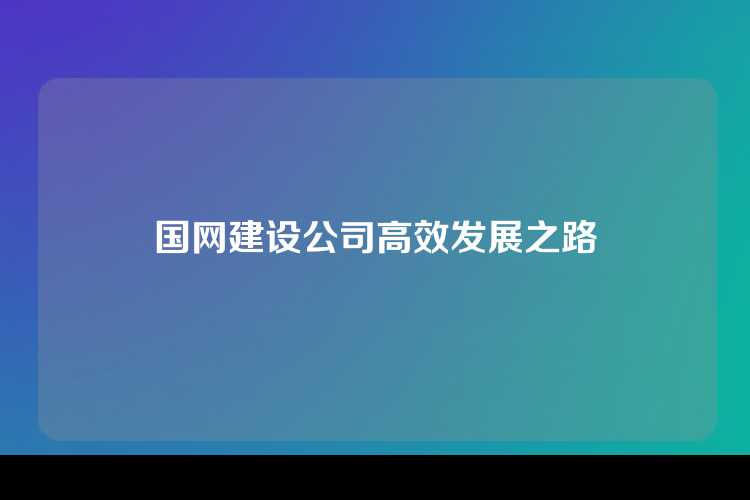 国网建设公司高效发展之路