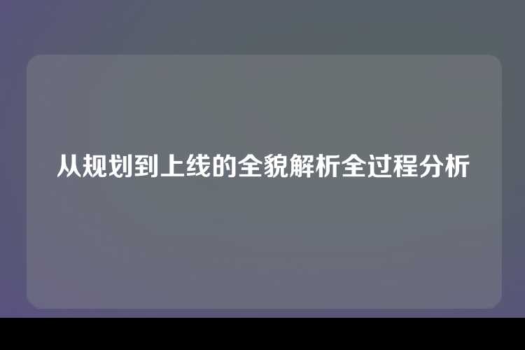 从规划到上线的全貌解析全过程分析