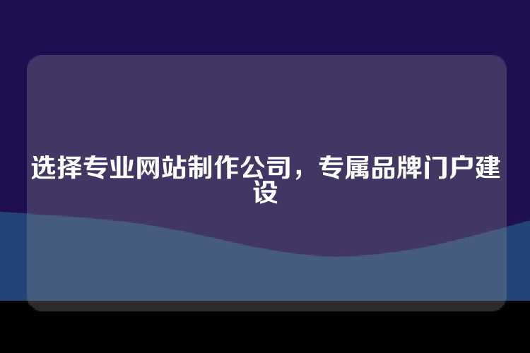 选择专业网站制作公司，专属品牌门户建设