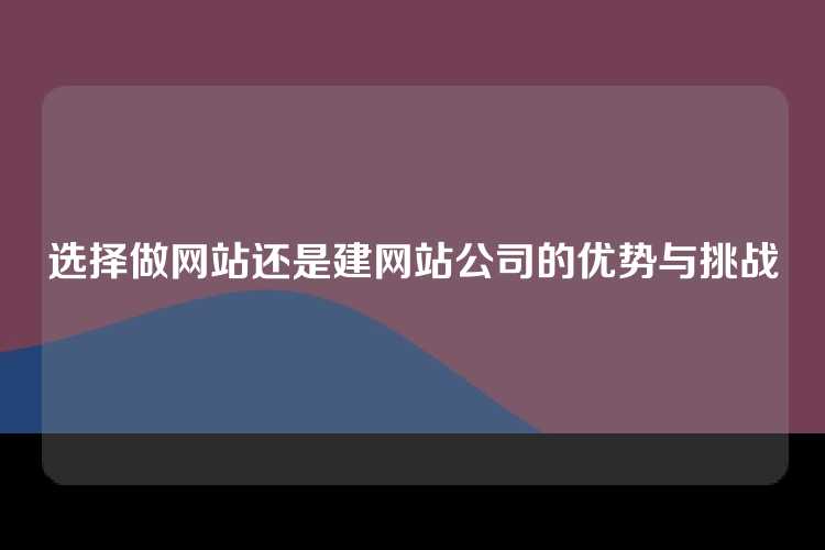 选择做网站还是建网站公司的优势与挑战