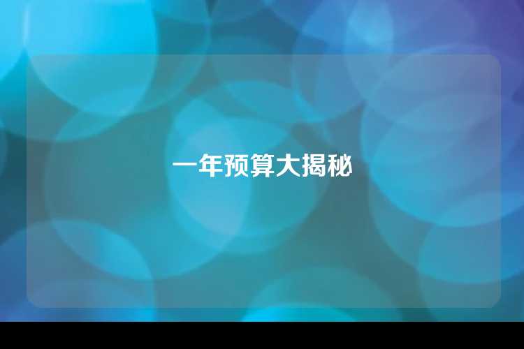 一年预算大揭秘