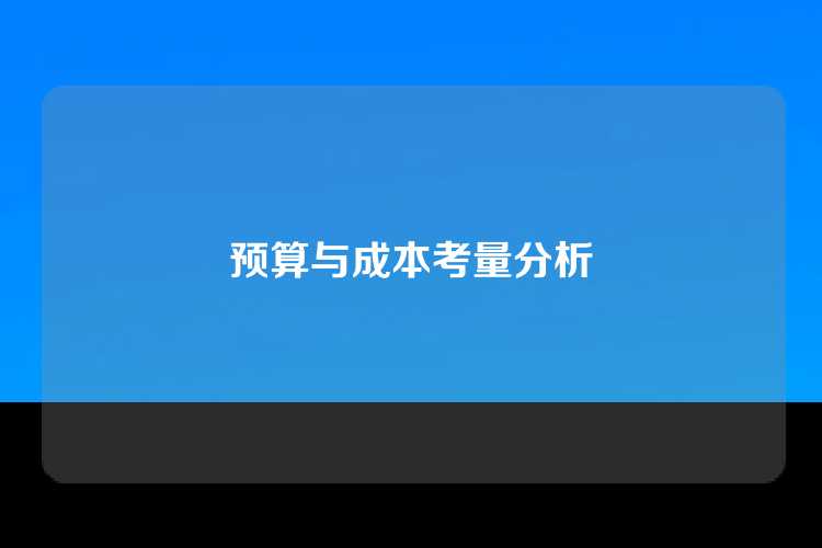 预算与成本考量分析
