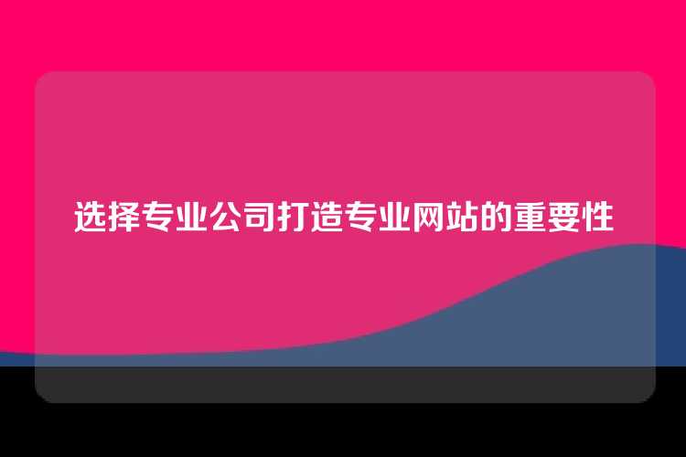 选择专业公司打造专业网站的重要性