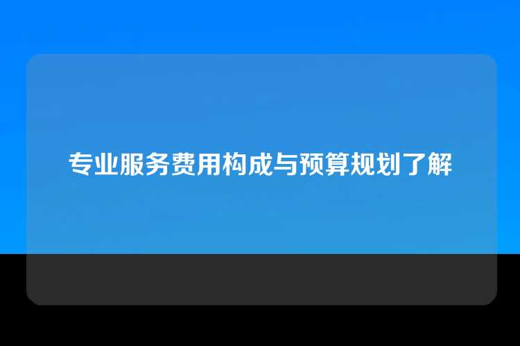 专业服务费用构成与预算规划了解