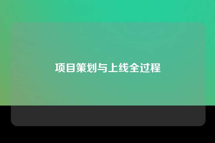 项目策划与上线全过程