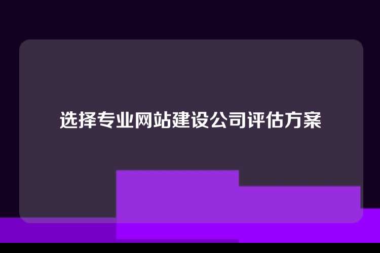 选择专业网站建设公司评估方案